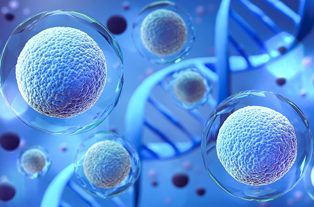 细胞与基因治疗